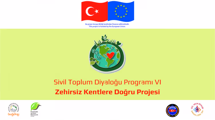 Zehirsiz Kentlere Doğru